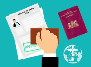 visa-3653492_960_720